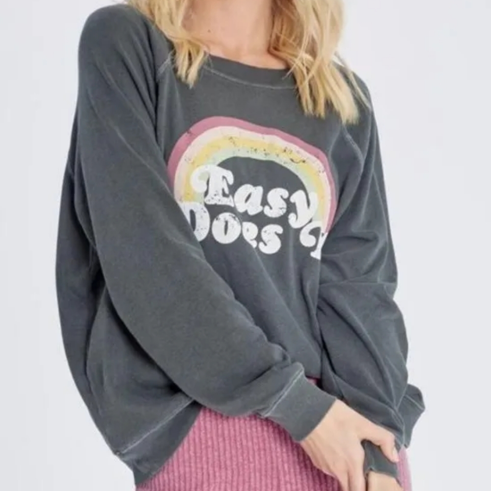 Wild Fox Sweater Woman Med Gray Sweatshirt Rainbow Easy Does It Graphic New